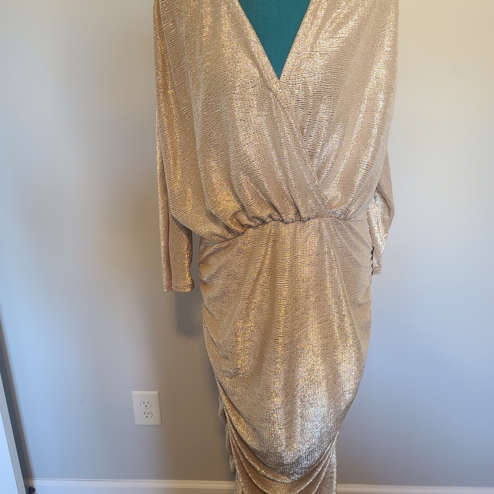 Eva Mendes for New York & Company Shimmering Cream Maxi dress